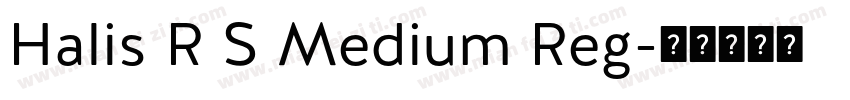 Halis R S Medium Reg字体转换